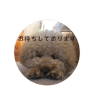 まるさんのいちにち（個別スタンプ：12）