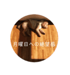 まるさんのいちにち（個別スタンプ：13）