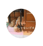 まるさんのいちにち（個別スタンプ：15）