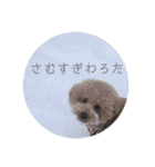 まるさんのいちにち（個別スタンプ：16）