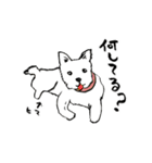 筆文字♡アニマルスタンプ（個別スタンプ：23）