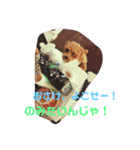 エイトHOUSE#01（個別スタンプ：4）