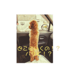エイトHOUSE#01（個別スタンプ：6）