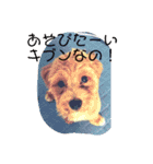 エイトHOUSE#01（個別スタンプ：7）