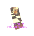 エイトHOUSE#01（個別スタンプ：9）