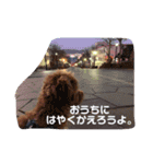 エイトHOUSE#01（個別スタンプ：11）