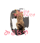 エイトHOUSE#01（個別スタンプ：12）