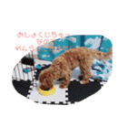 エイトHOUSE#01（個別スタンプ：13）