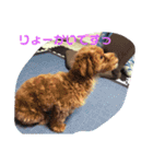 エイトHOUSE#01（個別スタンプ：14）