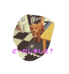 エイトHOUSE#01（個別スタンプ：15）