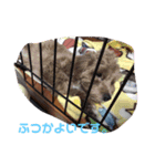 エイトHOUSE#01（個別スタンプ：16）