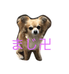 モカちゃん♡（個別スタンプ：10）