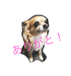 モカちゃん♡（個別スタンプ：14）