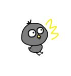 くろピ（個別スタンプ：11）
