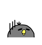 くろピ（個別スタンプ：12）