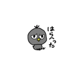くろピ（個別スタンプ：16）