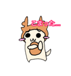 ごろしかちゃん（個別スタンプ：6）
