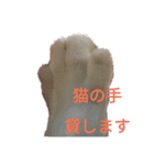 うちのイケにゃん（個別スタンプ：9）