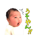 ホッペちゃんちの日常会話（個別スタンプ：15）