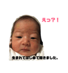 徳丸くん すたんぷ（個別スタンプ：1）