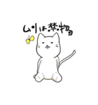 ぬまねこスタンプ（個別スタンプ：19）