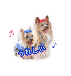 かわいい挨拶スタンプ〜ロコ＆マアシャ〜（個別スタンプ：5）