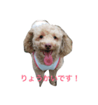ほのぼのくーちゃん（個別スタンプ：1）