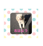 ほのぼのくーちゃん（個別スタンプ：4）