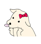 元気なINU（個別スタンプ：13）