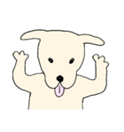 元気なINU（個別スタンプ：20）