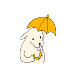 元気なINU（個別スタンプ：27）