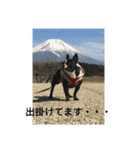 心愛とショコラそして仲間達（個別スタンプ：5）