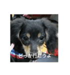 心愛とショコラそして仲間達（個別スタンプ：8）