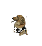心愛とショコラそして仲間達（個別スタンプ：10）
