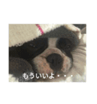 心愛とショコラそして仲間達（個別スタンプ：18）