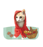 ちゃしろ猫ミャアーのスタンプ(文字無し版)（個別スタンプ：3）