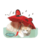ちゃしろ猫ミャアーのスタンプ(文字無し版)（個別スタンプ：8）