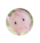 ココとチビ1（個別スタンプ：1）