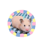 ココとチビ1（個別スタンプ：2）