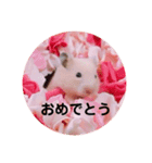 ココとチビ1（個別スタンプ：8）
