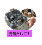 うさぎのち晴れ♪
時々⭐ちんちら③（個別スタンプ：2）