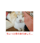 うさぎのち晴れ♪
時々⭐ちんちら③（個別スタンプ：5）