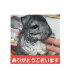 うさぎのち晴れ♪
時々⭐ちんちら③（個別スタンプ：8）