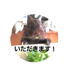 うさぎのち晴れ♪
時々⭐ちんちら③（個別スタンプ：9）
