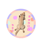 もな犬 2  子犬ver（個別スタンプ：5）