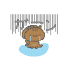 どっとりすのしまりす。（個別スタンプ：2）