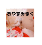 Chihuahua Milk 02（個別スタンプ：3）