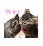 子ねこのスタンプ（個別スタンプ：2）