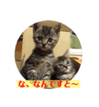 子ねこのスタンプ（個別スタンプ：7）