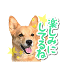 ぎんさんセリフスタンプ②（個別スタンプ：9）